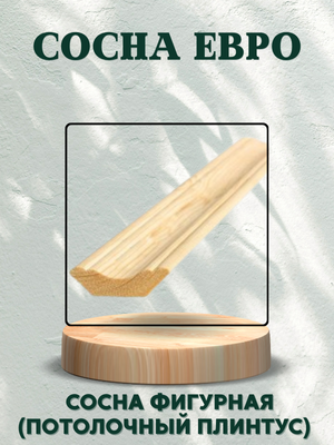 Сосна Евро